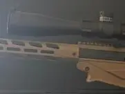 Ruger precision rifle