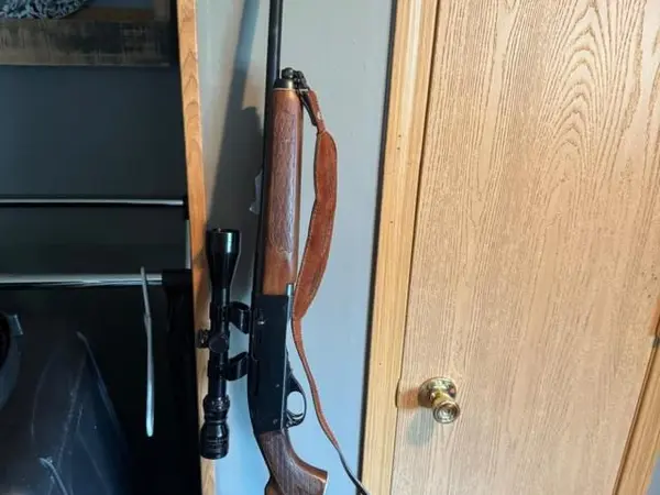 Remington woods master 742