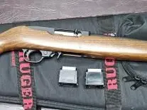 Ruger 10/22