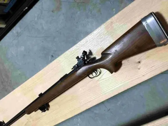 Remington 40X in 22LR