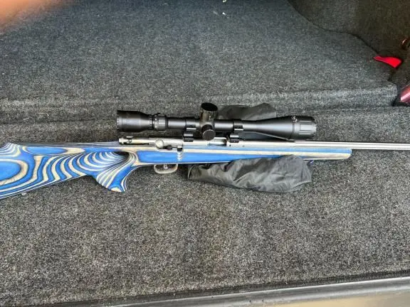 SAVAGE 93R17