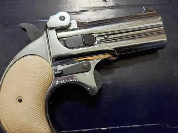22lr German made derringer