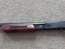 Ted Williams 20 gauge