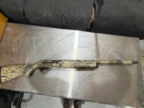 Remington V3 Field Pro