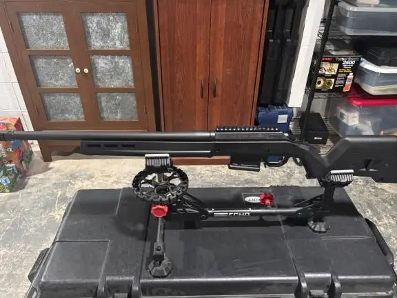 Ruger American 308