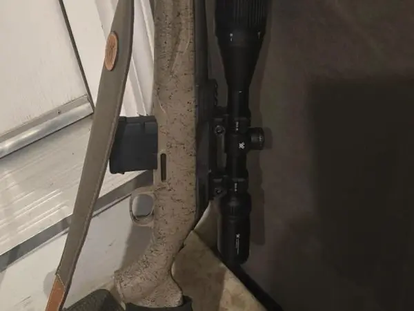 Ruger 300 blackout