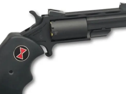 North American Arms Black Widow, 22 magnum