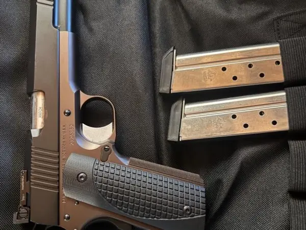 Dan Wesson Bruin 10mm