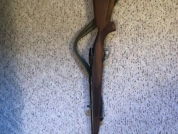 Zastava M 85