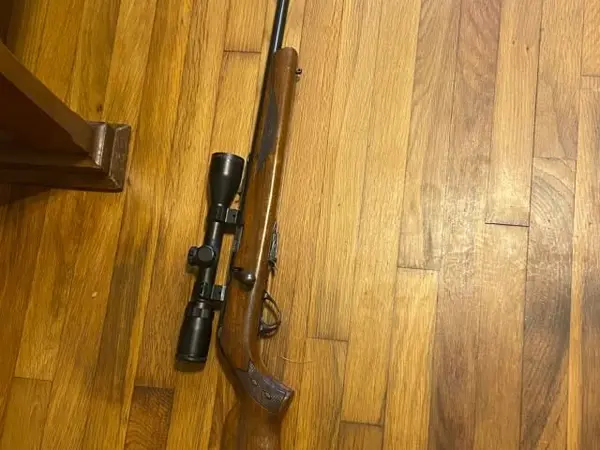 Savage 65M .22 Magnum