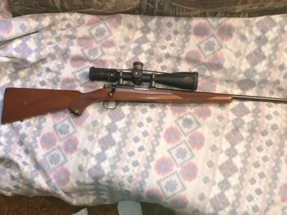 Ruger 77/22