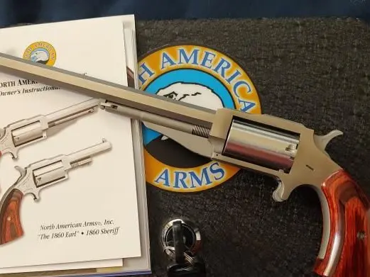 NAA THE EARL HOGLEG 22MAG