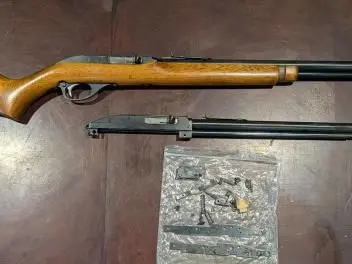 Marlin/Glenfield Model 60 and most of a Model 75