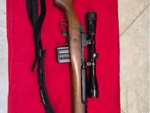Ruger Mini 14
