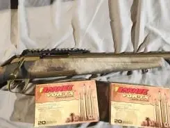 Browning Hells Canyon 300wm