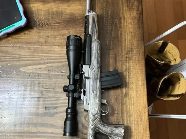 Ruger Mini 14 target