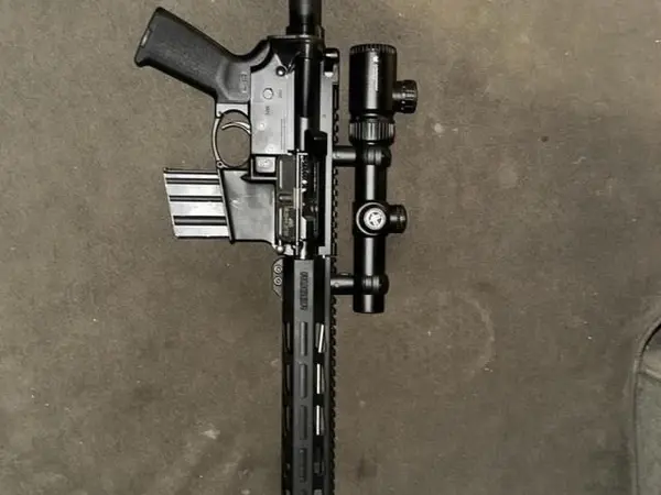 .450 bushmaster Ruger AR