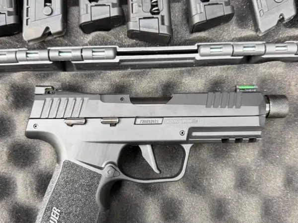 Sig P322 with 7 mags