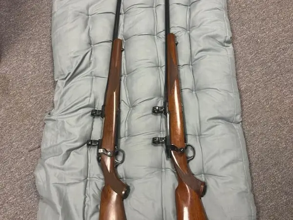 Ruger m77