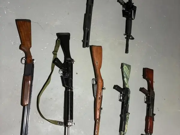 Multi firearm sale