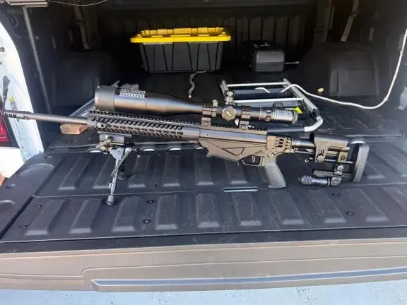 Ruger Precision 308