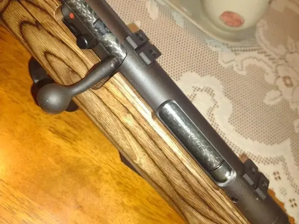 Savage Model 25 - .22 Hornet