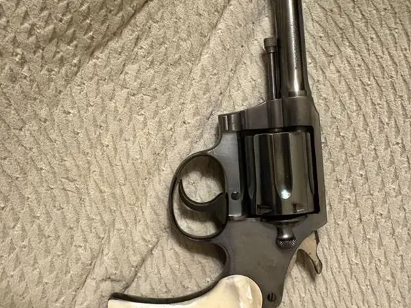 Colt Police Positive