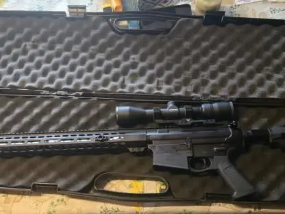 PA-10 .308
