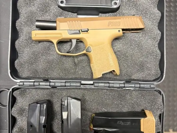 Sig p365
