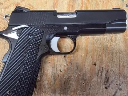 Dan Wesson Guardian