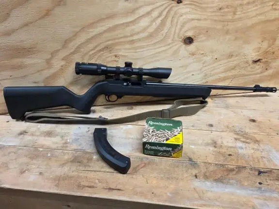 Ruger 10/22