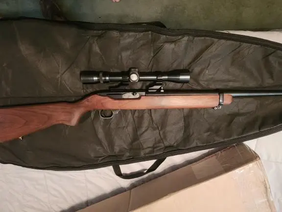Ruger Carbine .44 Magnum