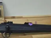 CZ 600