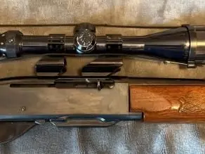 Remington wood master model 742
