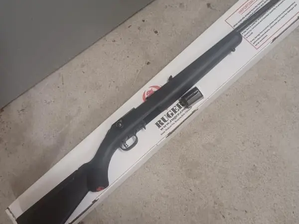Ruger compact .22 mag