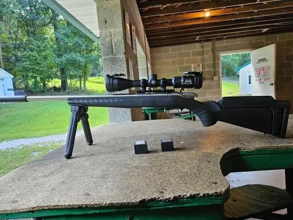Ruger American Rimfire