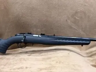 Ruger American 22LR