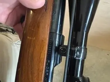 Ruger Model 77 in 308