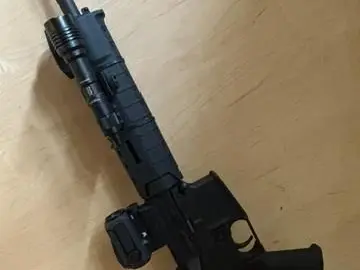 Palmetto State AR 15