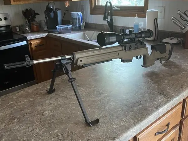 M1A Loaded Precision