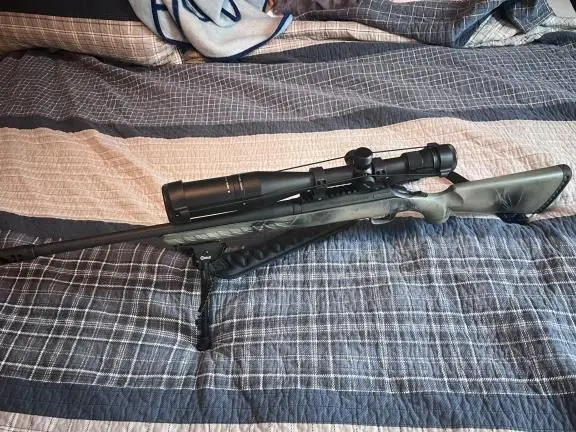 Hunting Rifle/Beginner long range set up