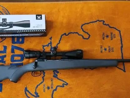 Stevens model 200