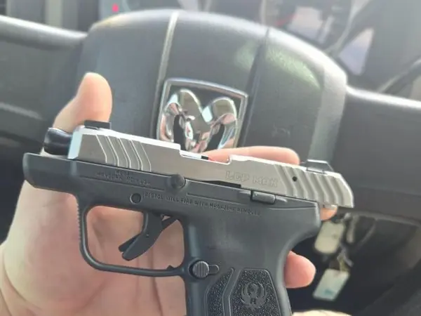 Ruger Lcp Max