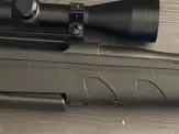 Remington Model 770 .243