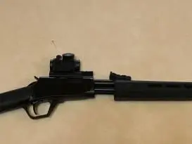 Rossi Gallery gun