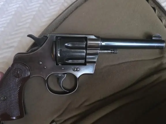 1919 Colt Army Special
