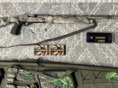 Stoeger M3500