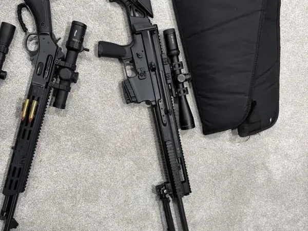 Scar 20s