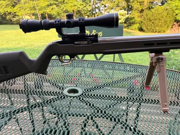 Ruger10/22