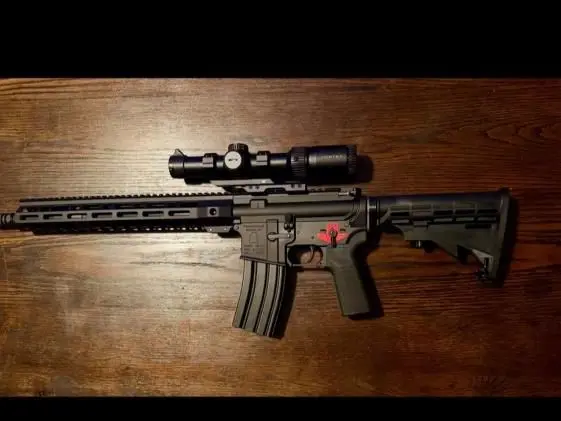 AR15 with binary